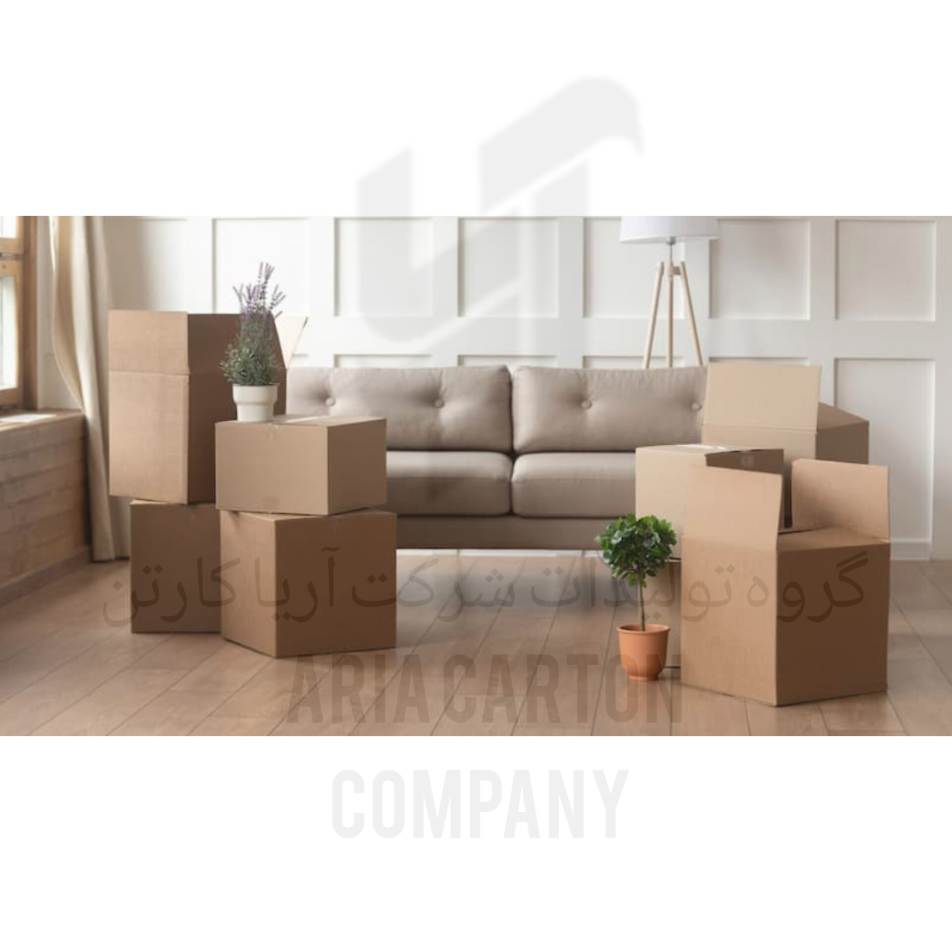 پخش کارتن اسباب کشی 